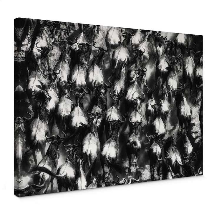 Leinwandbild Alnaser - Grosse Flucht - WA357648