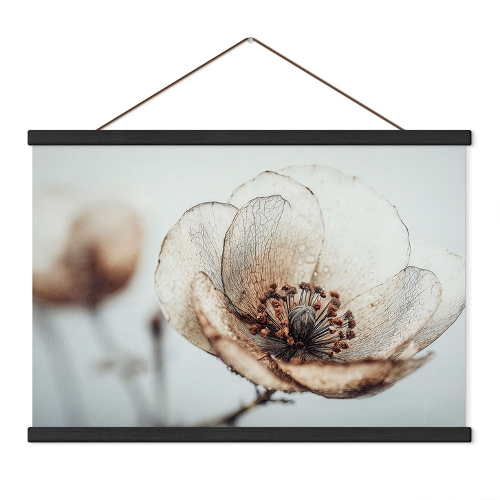 Stoffbild Trockenblüte Beige Naturpoesie - Treechild - WA516824