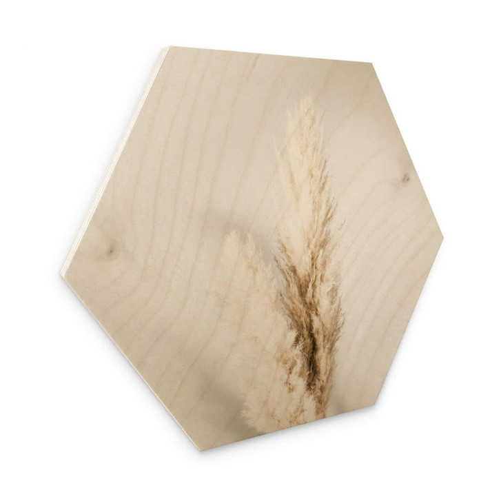 Hexagon - Holz 1X Studio - Gebundenes Pampasgras - WA320880