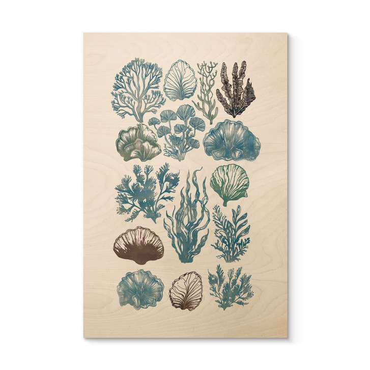 Holzbild Filigrane Algen und Muscheln - casa cartissi - WA459668