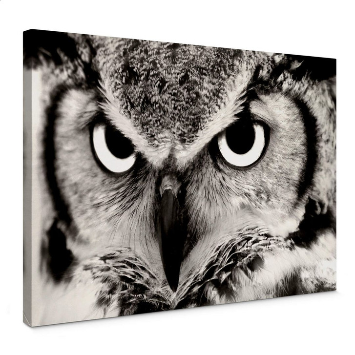 Leinwandbild Stolze Eule - WA375534
