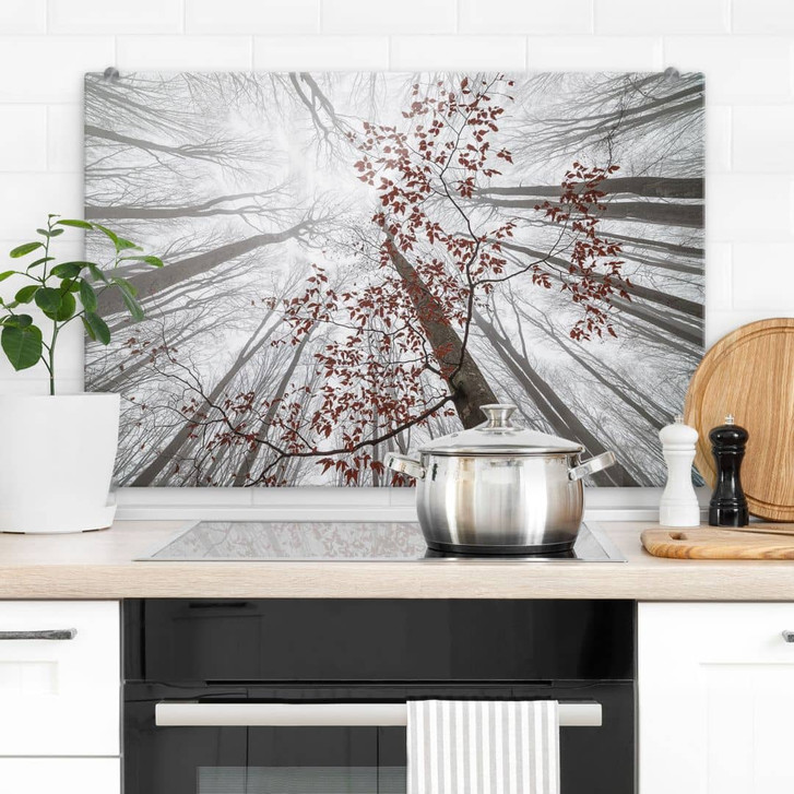 Spritzschutz Baumkronen mit roten Blättern - Coman - WA410557