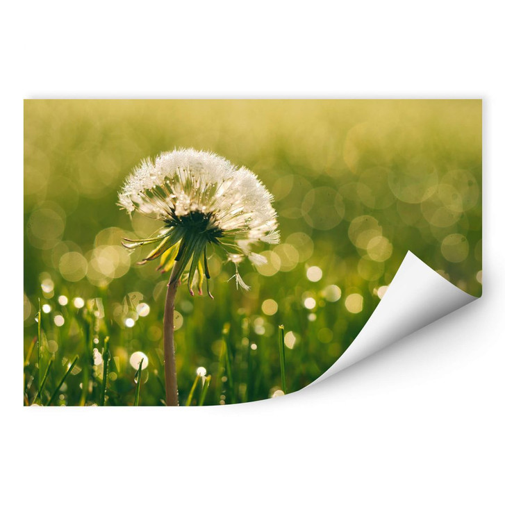 Wallprint - After Rain - WA180937