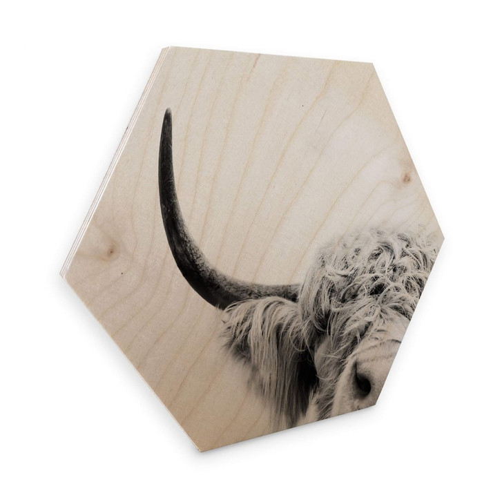 Hexagon - Holz Birke-Furnier Sisi & Seb - Bulle - WA299677