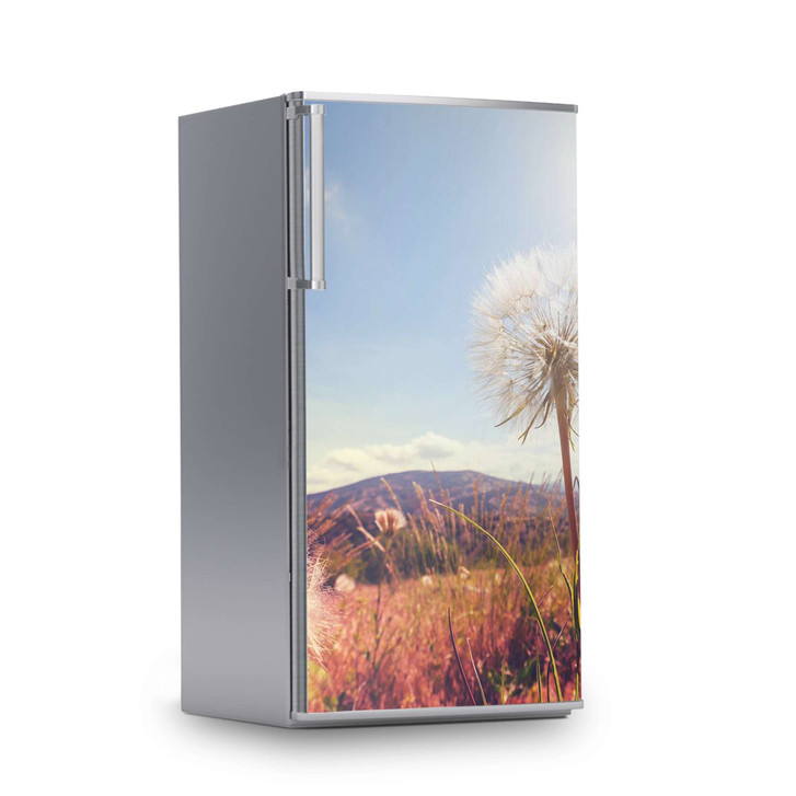 Kühlschrankfolie 60x120cm - Dandelion - CR112821