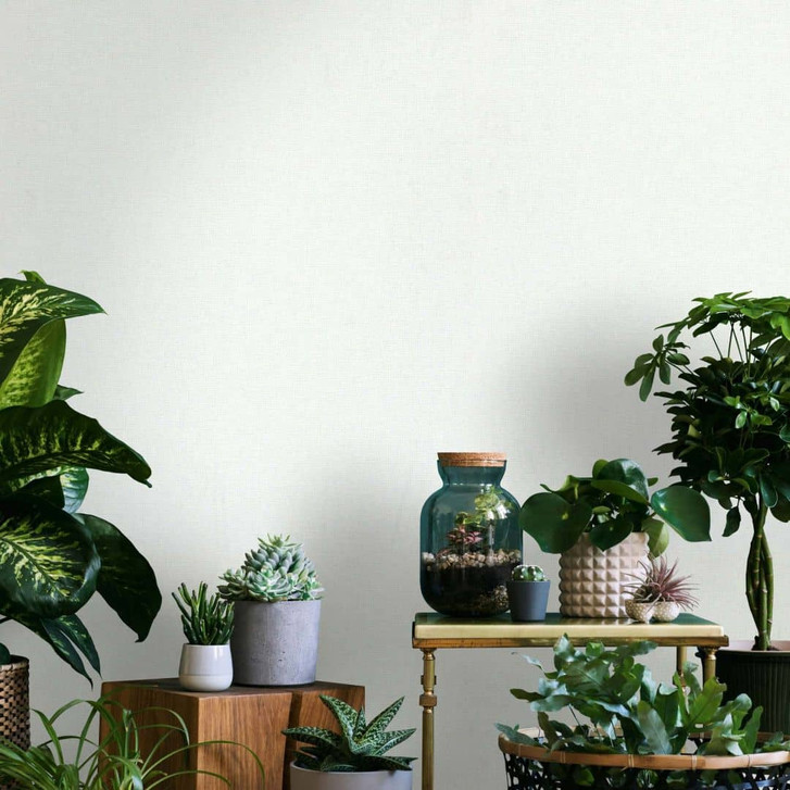 Vliestapete Strukturiert Uni Modern in Weiss - WA473061