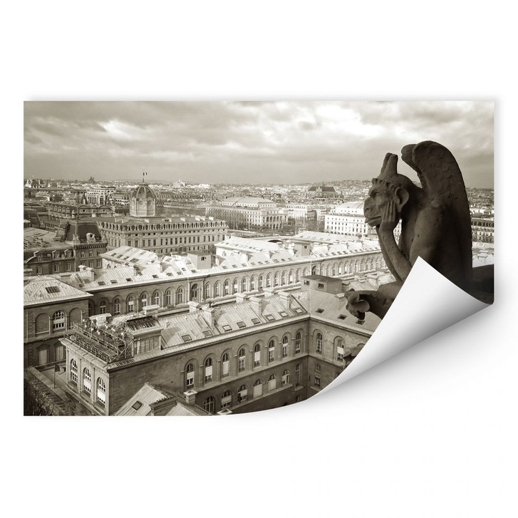 Wallprint Wasserspeier - WA190309