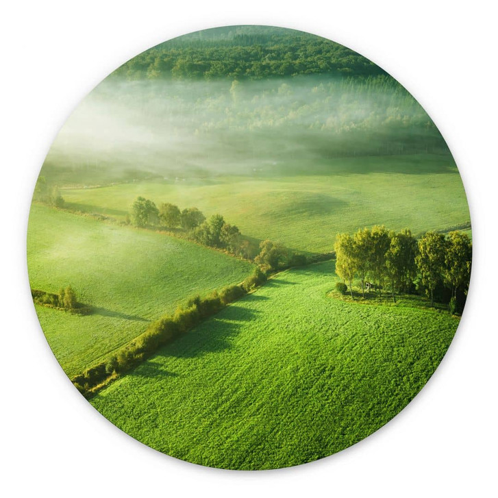 Wandbild Idyllische Felder im Nebel - Keller - Alu-Dibond Rund - WA431269