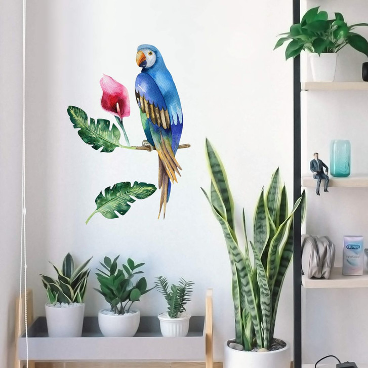 Wandtattoo Kvilis - Papagei 01 - WA243123