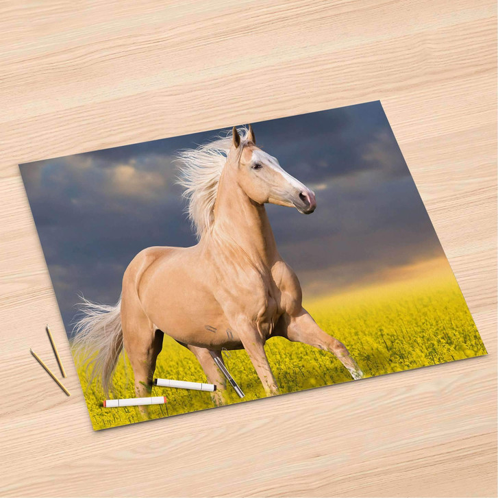 Folienbogen (120x80cm) - Wildpferd - CR106530