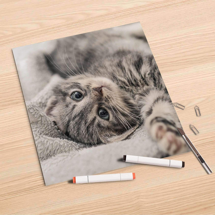 Folienbogen (30x30cm) - Kitty the Cat - CR106866
