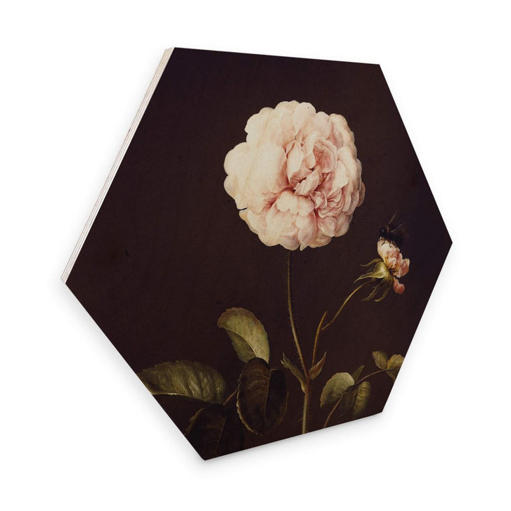 Hexagon - Holz Dietzsch - Essigrose mit Hummel - WA309519