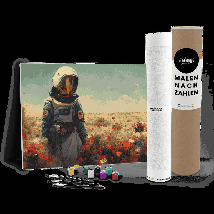 Malen nach Zahlen Leinwandbild - Astronaut - WA446968