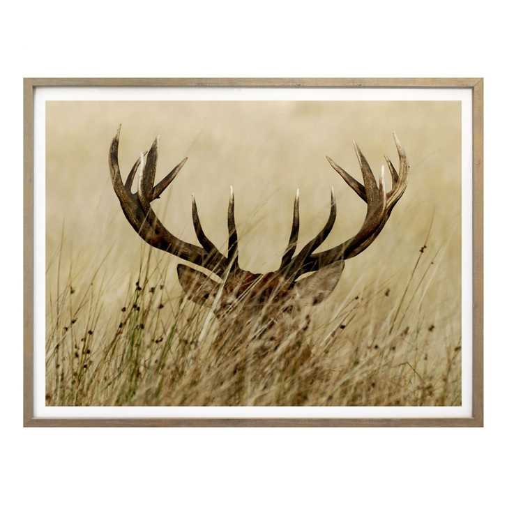 Poster Wachsamer Hirsch - WA249410