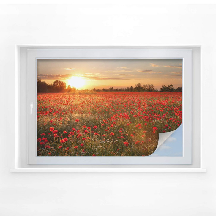 Sichtschutzfolie Mohnfeld im Sonnenuntergang - WA175975