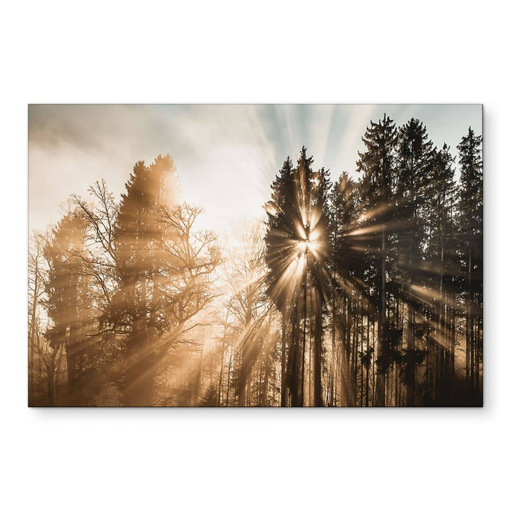 Wandbild Lichtstrahlen im Wald - Eisenmann - Alu-Dibond - WA435144