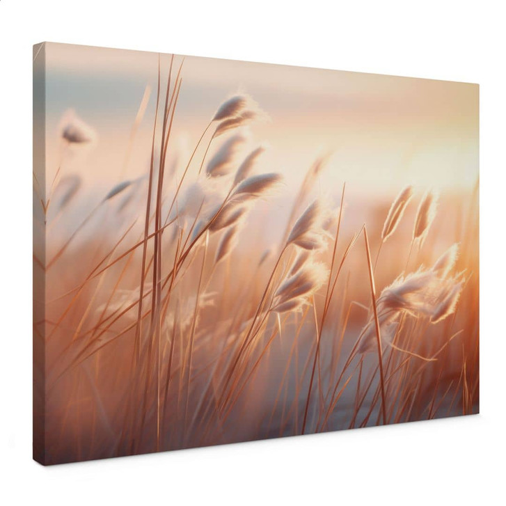 Leinwandbild Dünengras in der Abendsonne - Treechild - WA472663