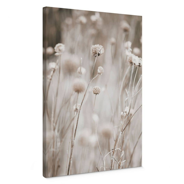 Leinwandbild Getrocknete Blüten in sanften Tönen - Annie - WA472593