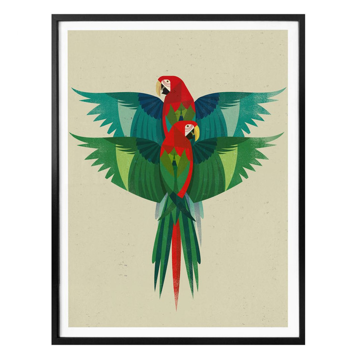 Poster Braun - Ara - WA296551