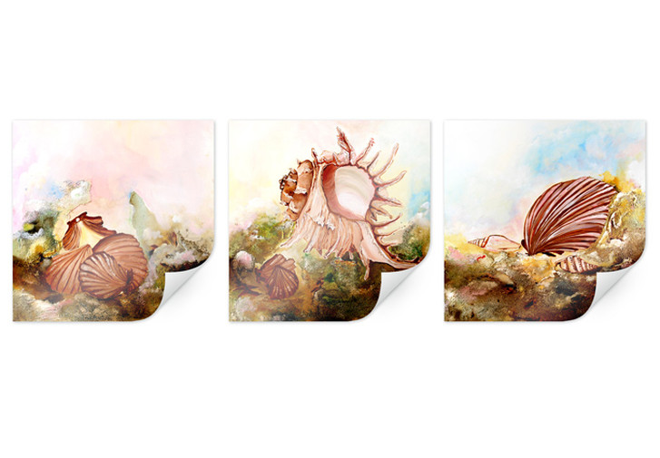 Poster Fedrau - Muscheln 02 (3-teilig) - WA160451