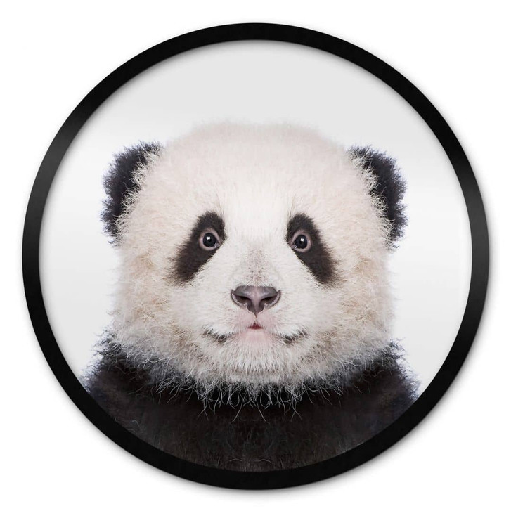 Poster Sisi & Seb - Baby Panda - Rund - WA380454