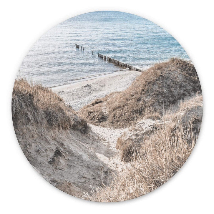 Wandbild Naturerlebnis in malerischen Ostseedünen - Alu-Dibond Rund - WA383134