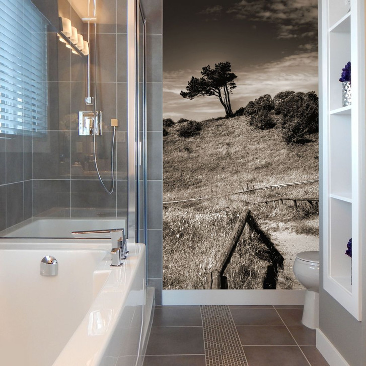 Fototapete Landschaft auf Hiddensee - 144x260cm - WA226733