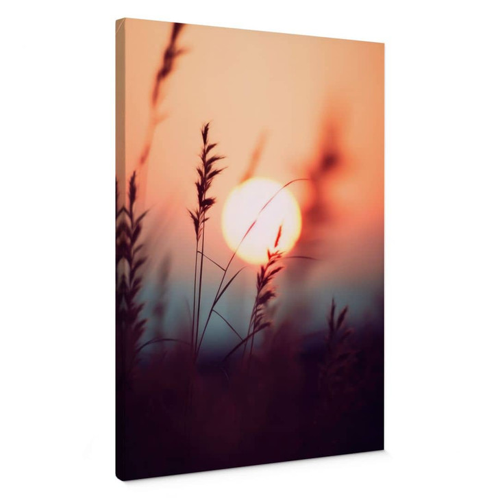 Leinwandbild Gräser im Licht der glühenden Sonne - Treechild - WA472677