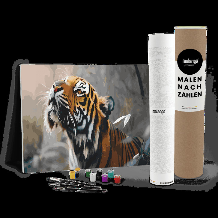 Malen nach Zahlen Leinwandbild - Tiger Tom - WA447718