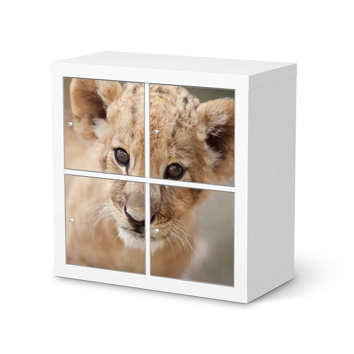 Möbelfolie IKEA Expedit Regal 4 Türen - Simba - CR114585