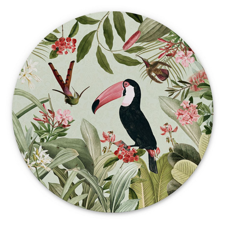 Wandbild Tukan im Dschungel-Paradies - UN Designs - Alu-Dibond - Rund - WA394939