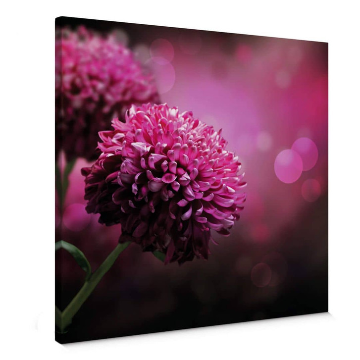 Leinwandbild Pink Dahlia - WA372748