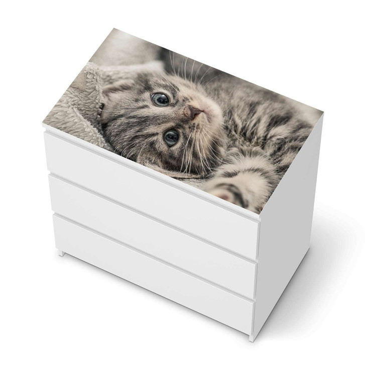 Möbelfolie IKEA Malm Kommode 3 Schubladen oben - Kitty the Cat - CR116398