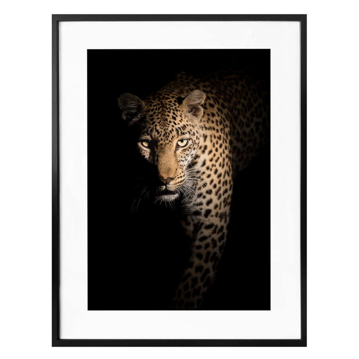 Poster Guijt - Der Leopard - WA280667