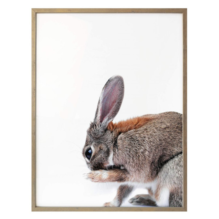 Premiumposter - Lepus - WA171331