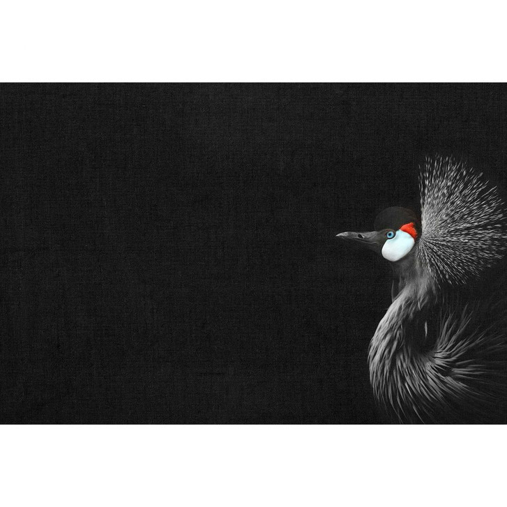 Livingwalls Fototapete ARTist Crowned Crane Black mit Kronenkranich rot, schwarz, weiss - WA310827