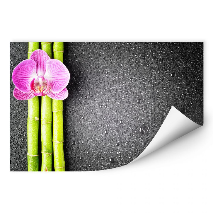 Wallprint Orchid and Bamboo - WA187800