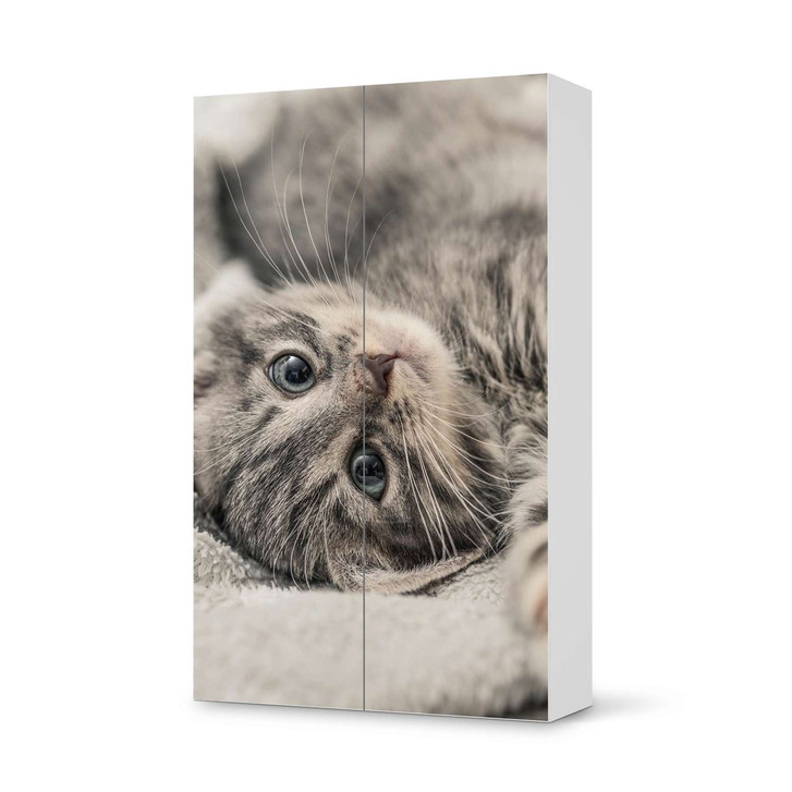 Klebefolie IKEA Besta Schrank 2 Türen (hoch) - Kitty the Cat - CR109296