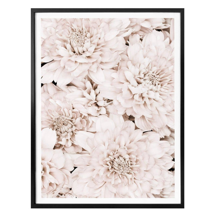 Poster 1X Studio - Aster Apricot - WA322488