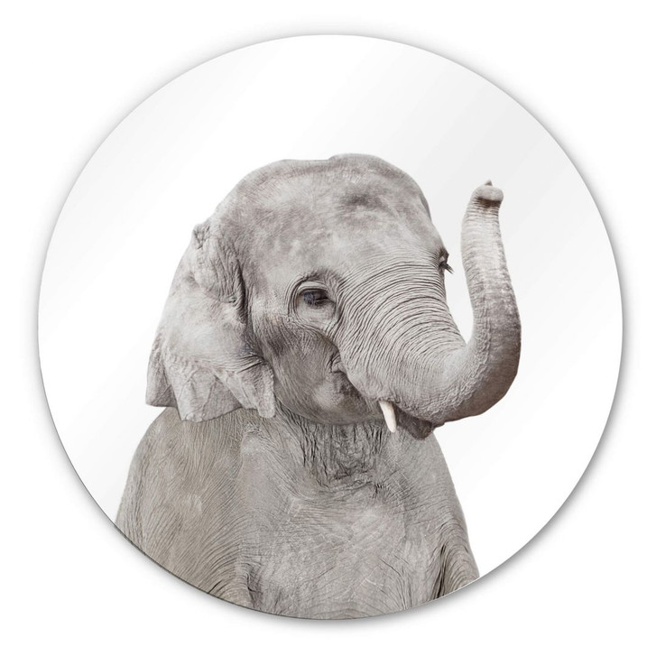 Alu-Dibond Sisi & Seb - Baby Elefant - Rund - WA294526