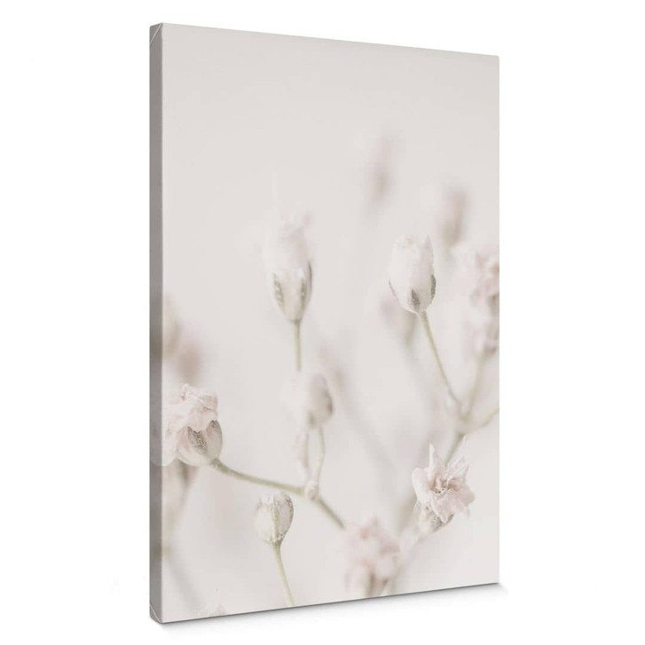 Leinwandbild 1X Studio - Zarte Blüten - WA347026