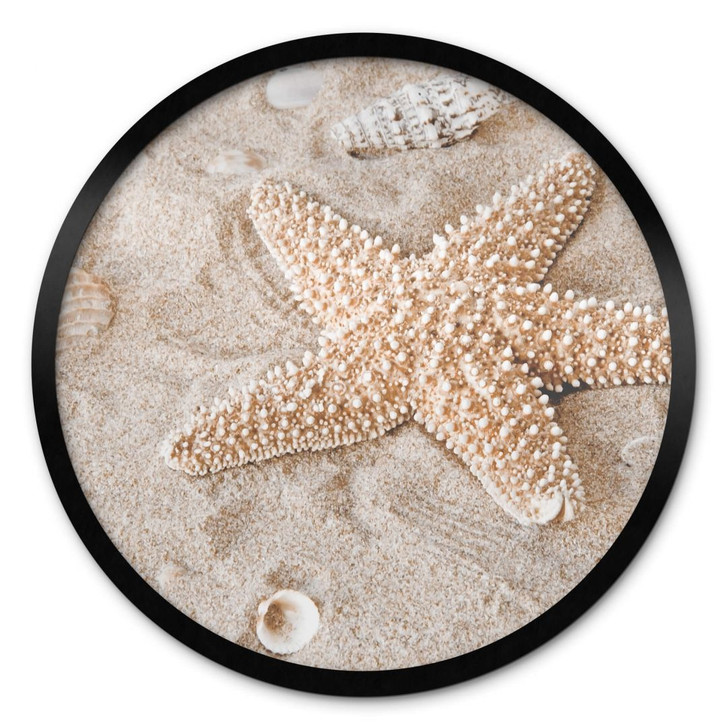 Poster Sternfisch im goldenen Strand - Rund - WA380503
