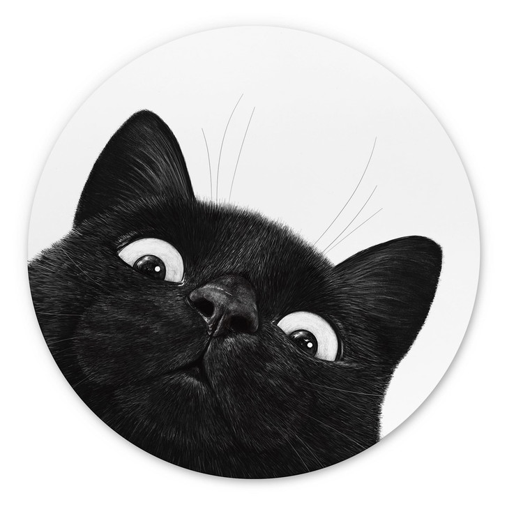 Wandbild Lustige schwarze Katze - Korenkova - Alu-Dibond Rund - WA516159