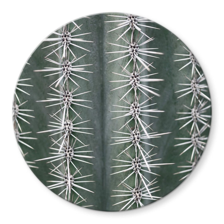 Glasbild 1X Studio - Kaktus - Rund - WA343631
