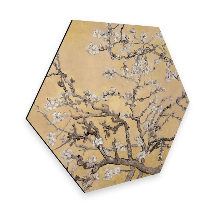 Hexagon - Alu-Dibond van Gogh - Mandelblüte Creme - WA315654