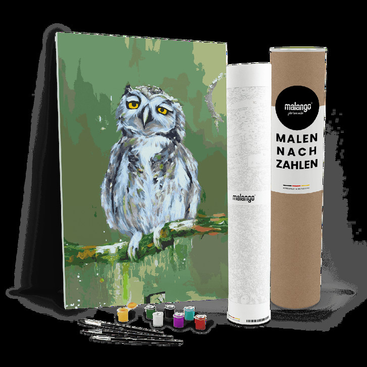 Malen nach Zahlen Leinwandbild - Eule Eva - WA447344