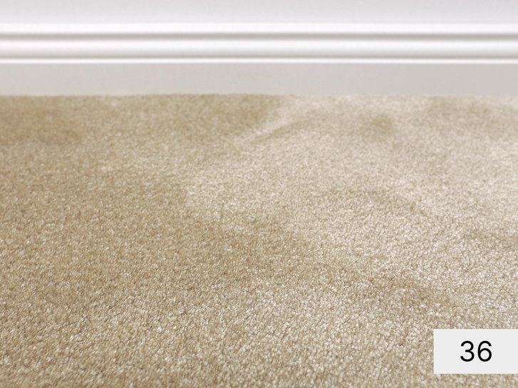 Obsession Velours Teppichboden Meterware in 36 - TS504182