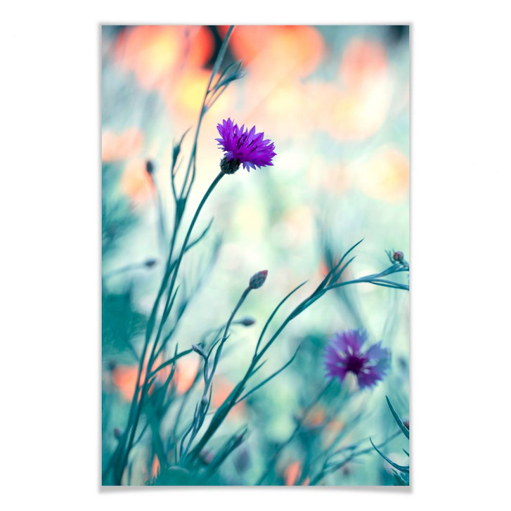 Poster Bravin - Luminous purple - WA158347