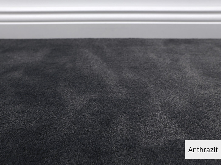 Samantha Velours Teppichboden Meterware in Anthrazit - TS497768