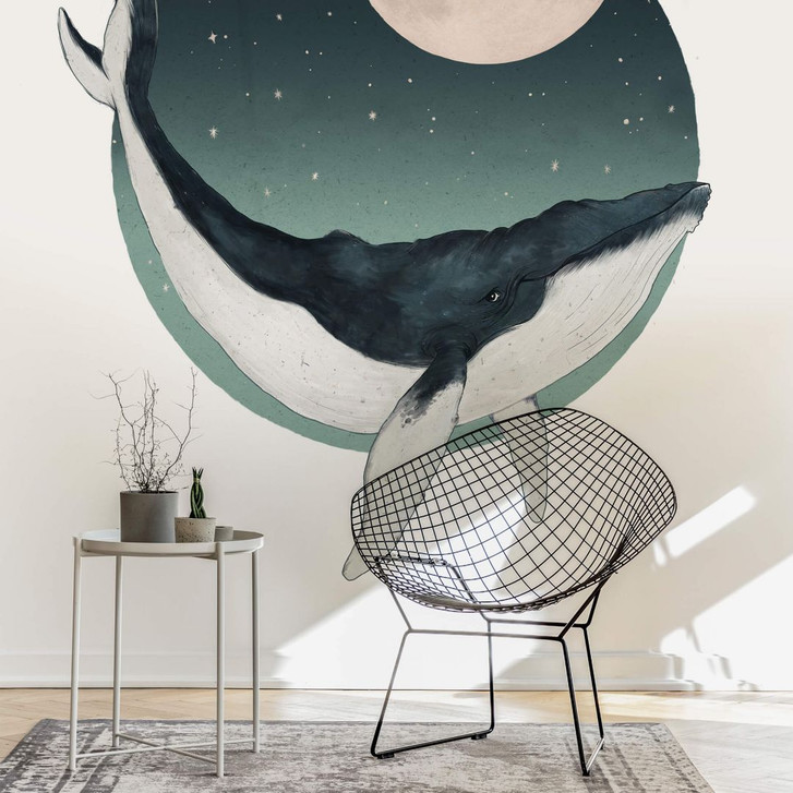 Fototapete Graves - Humpback - WA284977